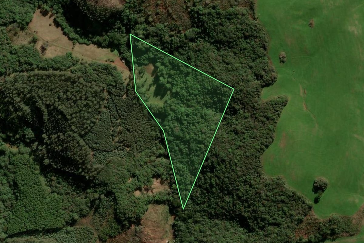 Imagem de satélite do imóvel rural em Fontoura Xavier (RS), com o contorno declarado no CAR desenhado por cima.