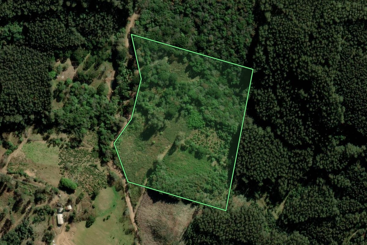 Imagem de satélite do imóvel rural em Fontoura Xavier (RS), com o contorno declarado no CAR desenhado por cima.