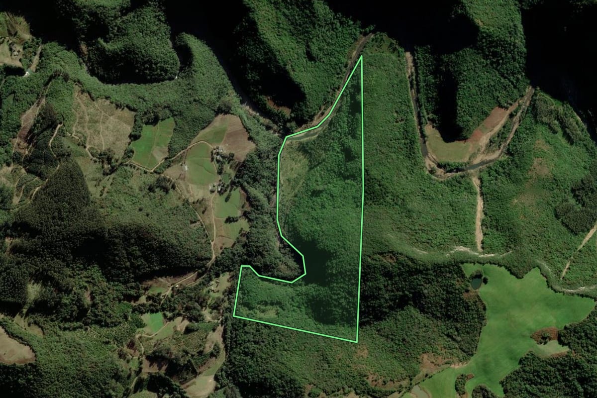Imagem de satélite do imóvel rural em Fontoura Xavier (RS), com o contorno declarado no CAR desenhado por cima.