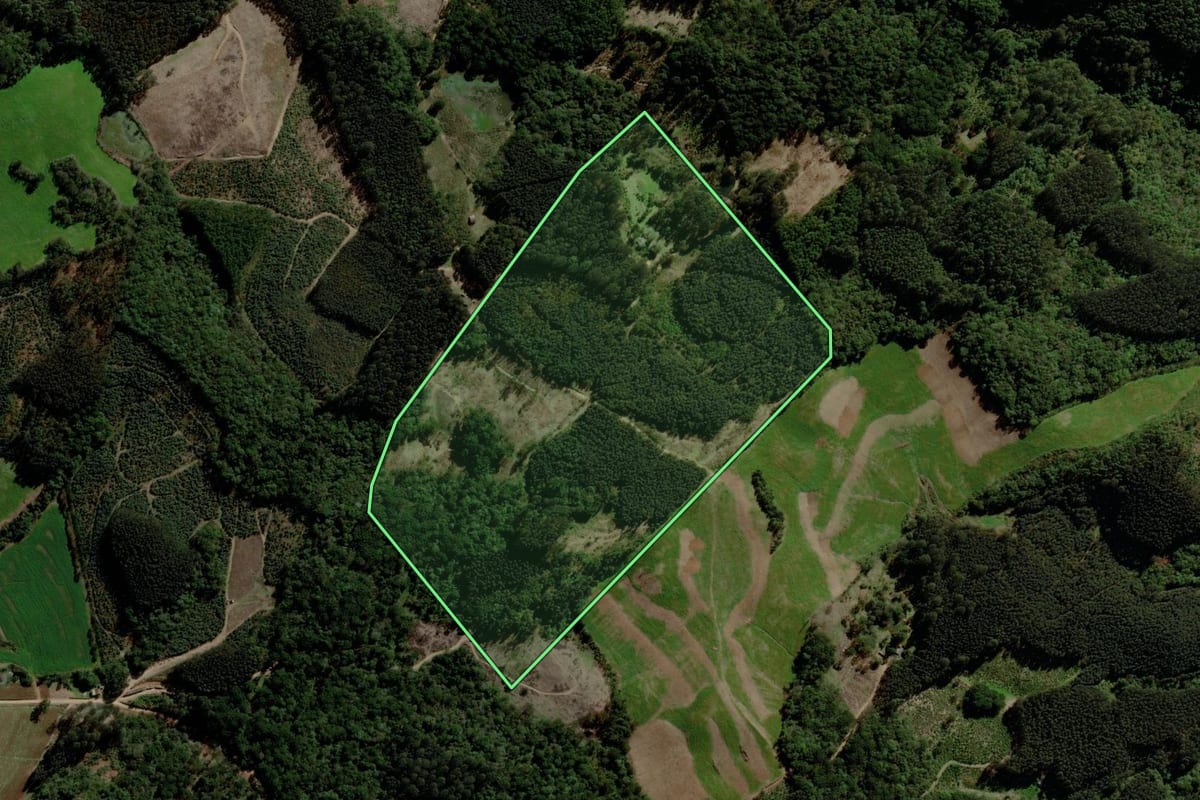 Imagem de satélite do imóvel rural em Fontoura Xavier (RS), com o contorno declarado no CAR desenhado por cima.