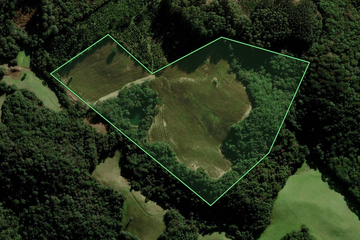 Imagem de satélite do imóvel rural em Fontoura Xavier (RS), com o contorno declarado no CAR desenhado por cima.