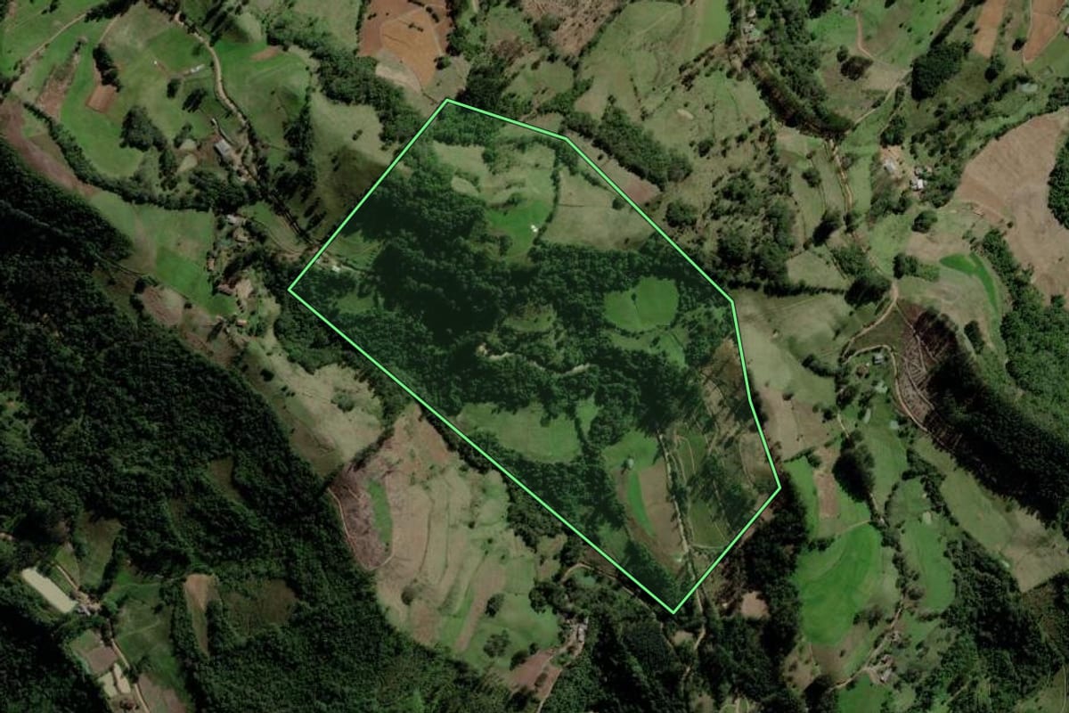 Imagem de satélite do imóvel rural em Fontoura Xavier (RS), com o contorno declarado no CAR desenhado por cima.