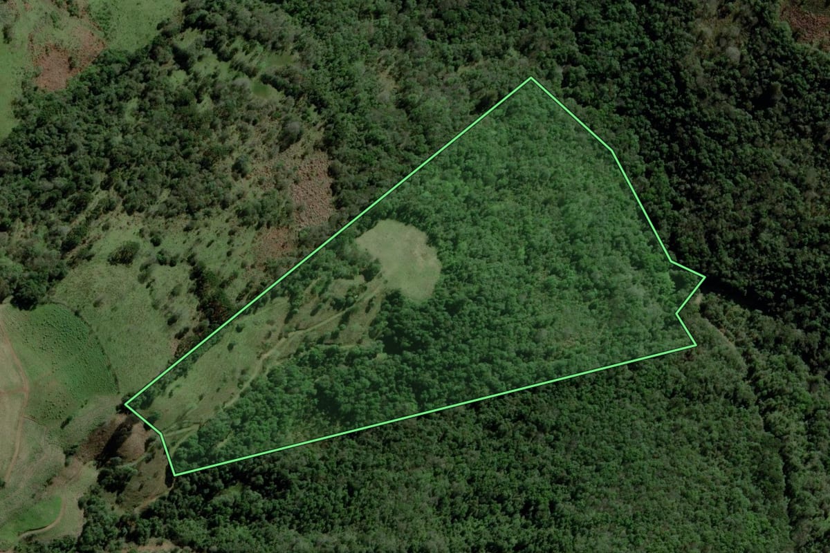 Imagem de satélite do imóvel rural em Fontoura Xavier (RS), com o contorno declarado no CAR desenhado por cima.