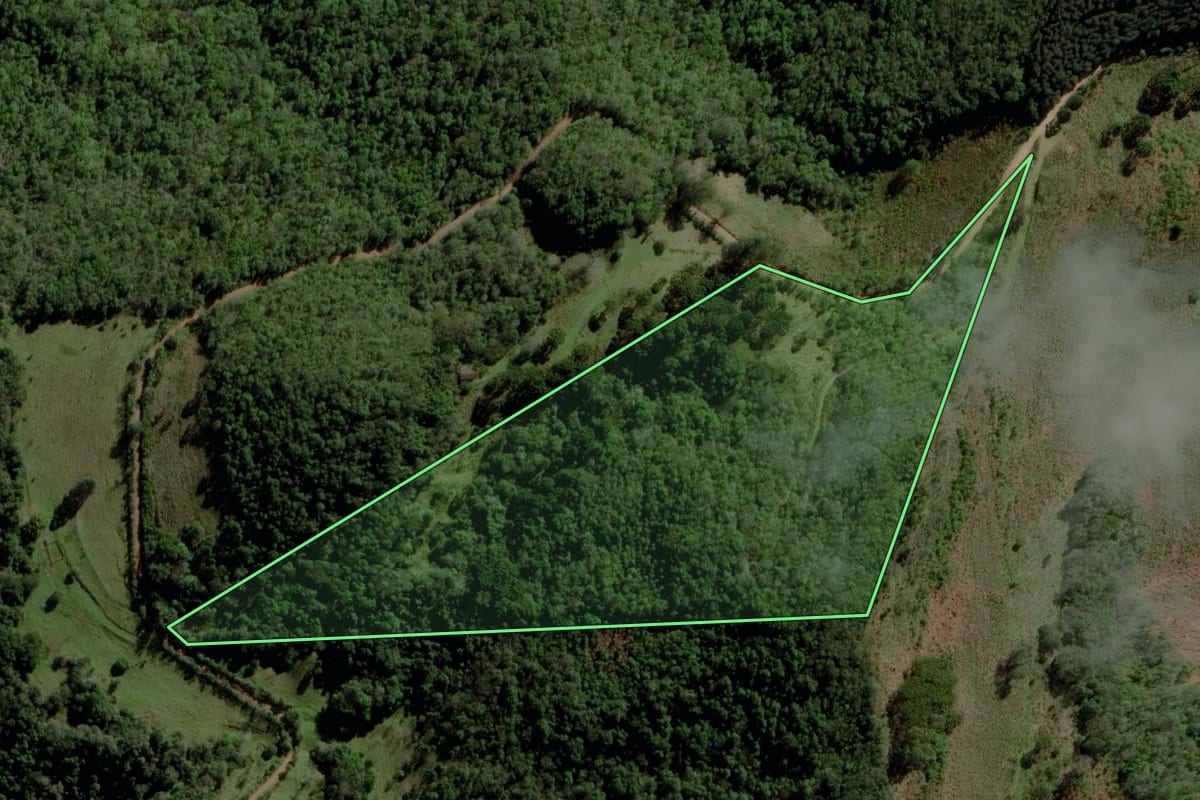 Imagem de satélite do imóvel rural em Fontoura Xavier (RS), com o contorno declarado no CAR desenhado por cima.