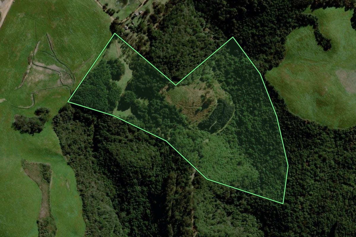 Imagem de satélite do imóvel rural em Fontoura Xavier (RS), com o contorno declarado no CAR desenhado por cima.