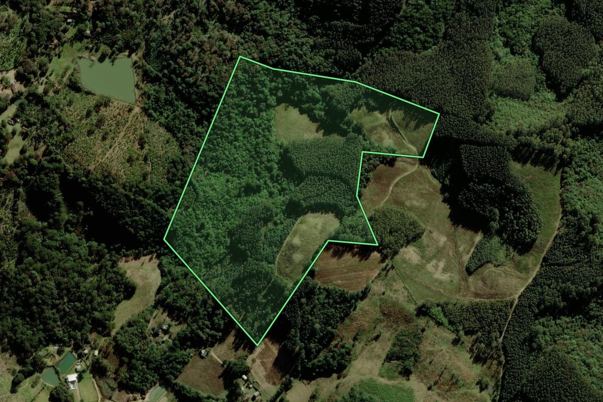 Imagem de satélite do imóvel rural em Fontoura Xavier (RS), com o contorno declarado no CAR desenhado por cima.