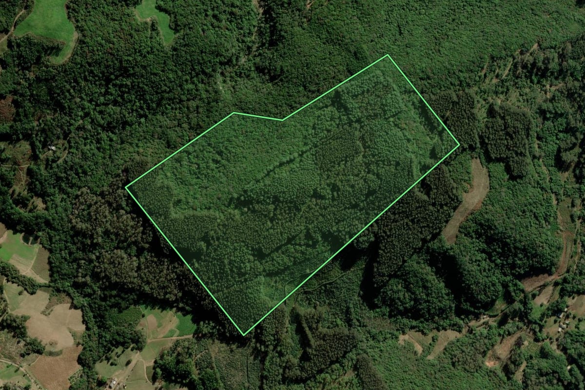 Imagem de satélite do imóvel rural em Fontoura Xavier (RS), com o contorno declarado no CAR desenhado por cima.