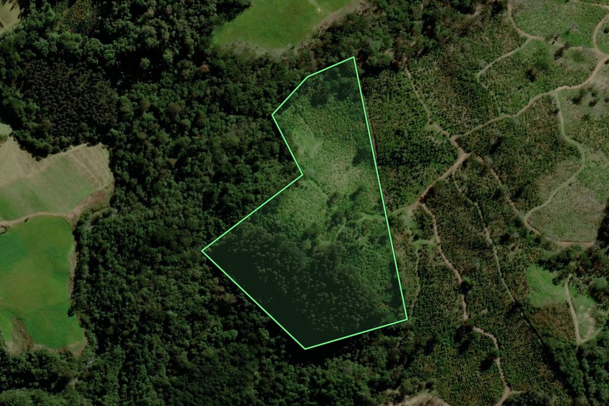 Imagem de satélite do imóvel rural em Fontoura Xavier (RS), com o contorno declarado no CAR desenhado por cima.