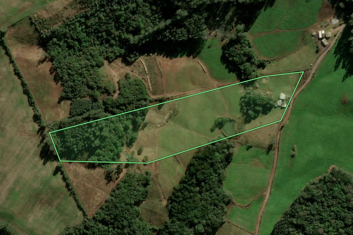 Imagem de satélite do imóvel rural em Fontoura Xavier (RS), com o contorno declarado no CAR desenhado por cima.