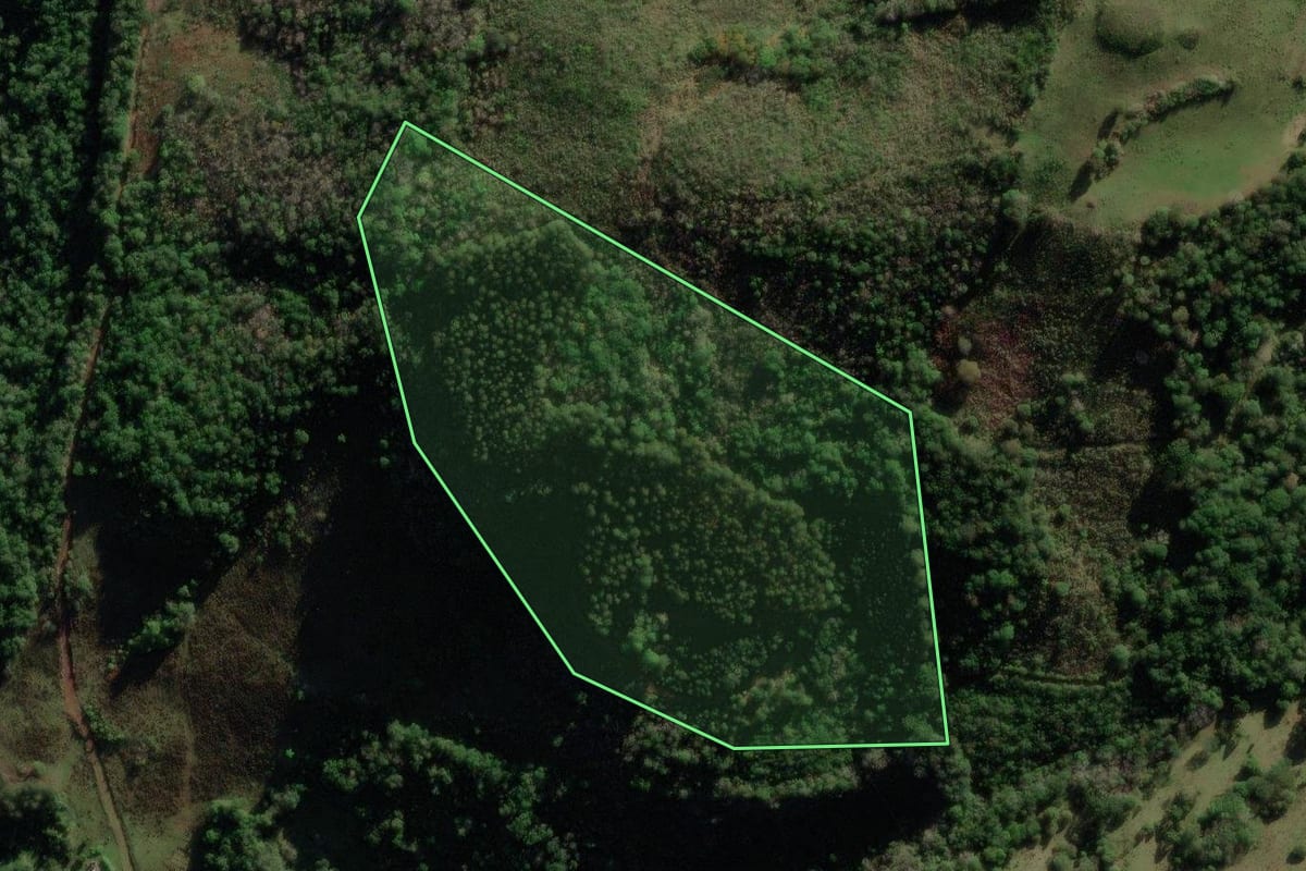 Imagem de satélite do imóvel rural em Fontoura Xavier (RS), com o contorno declarado no CAR desenhado por cima.