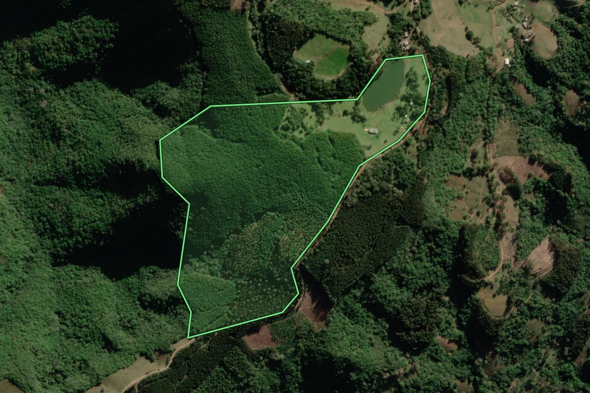 Imagem de satélite do imóvel rural em Fontoura Xavier (RS), com o contorno declarado no CAR desenhado por cima.