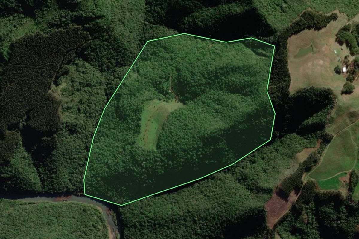 Imagem de satélite do imóvel rural em Fontoura Xavier (RS), com o contorno declarado no CAR desenhado por cima.