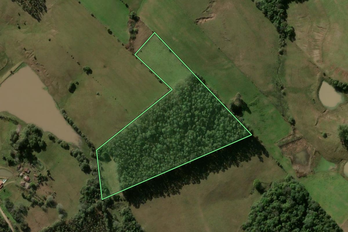 Imagem de satélite do imóvel rural em Formigueiro (RS), com o contorno declarado no CAR desenhado por cima.