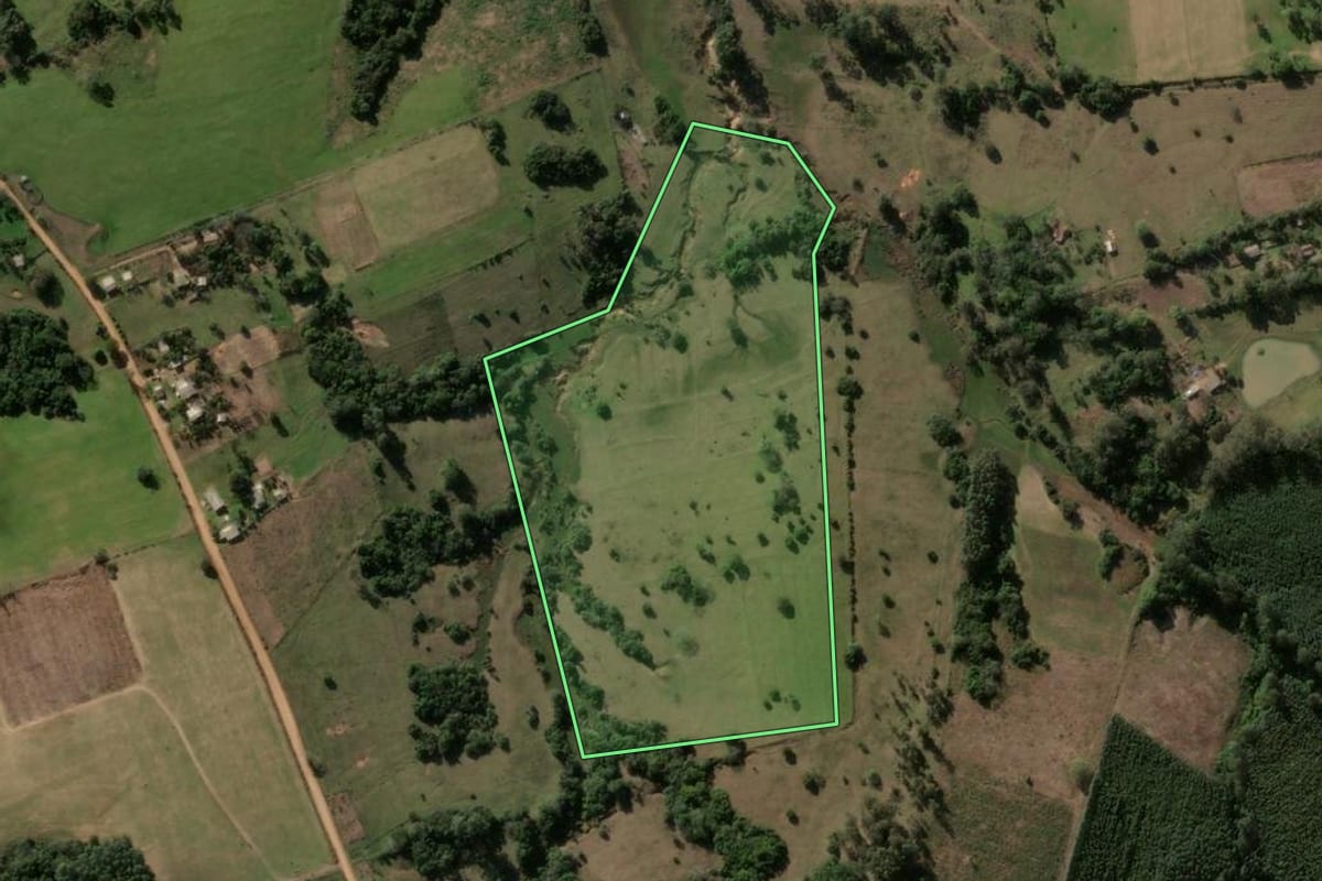 Imagem de satélite do imóvel rural em Formigueiro (RS), com o contorno declarado no CAR desenhado por cima.
