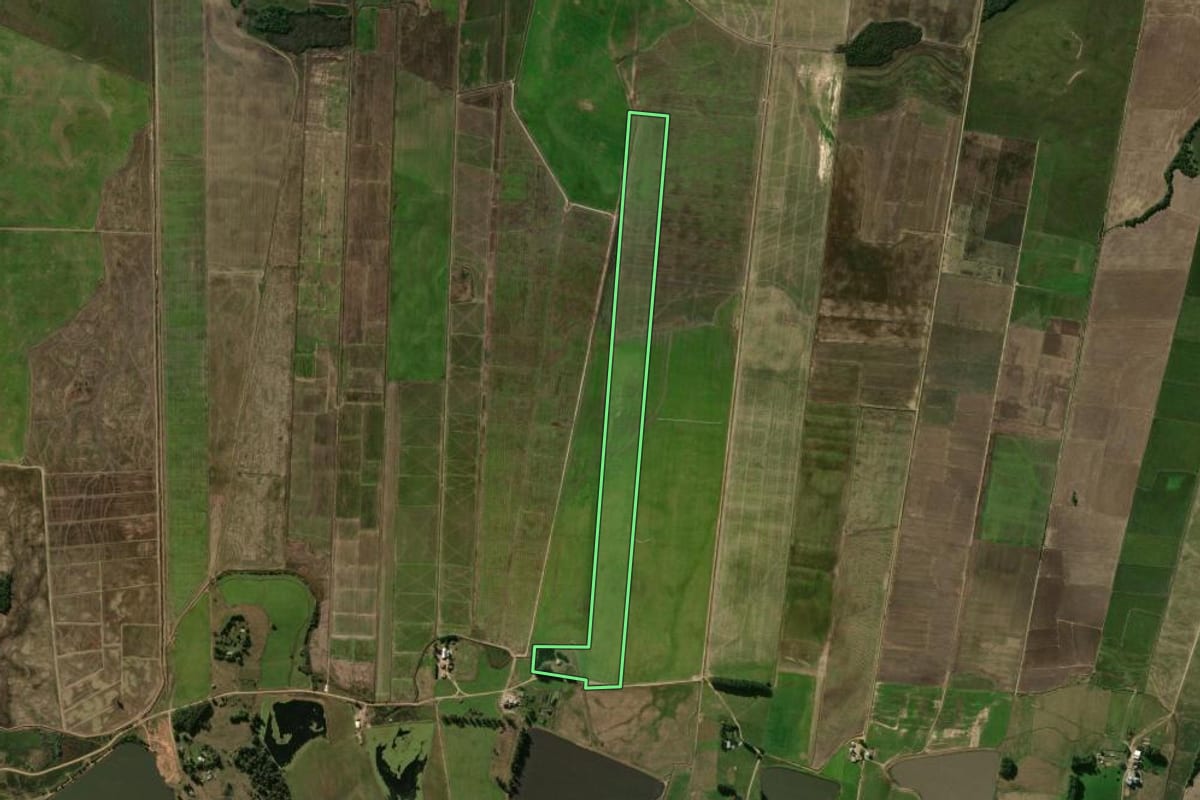 Imagem de satélite do imóvel rural em Formigueiro (RS), com o contorno declarado no CAR desenhado por cima.