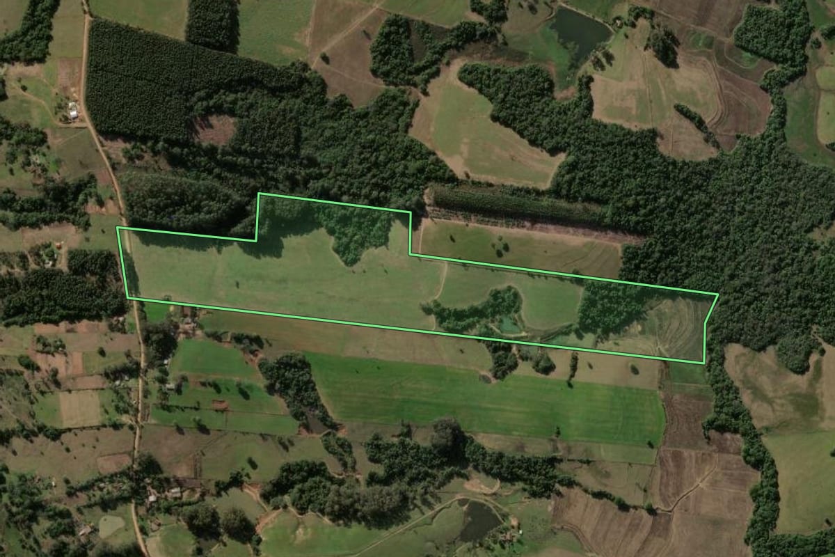 Imagem de satélite do imóvel rural em Formigueiro (RS), com o contorno declarado no CAR desenhado por cima.