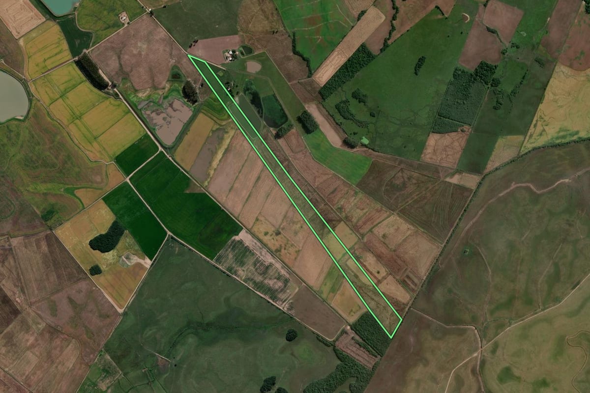 Imagem de satélite do imóvel rural em Formigueiro (RS), com o contorno declarado no CAR desenhado por cima.