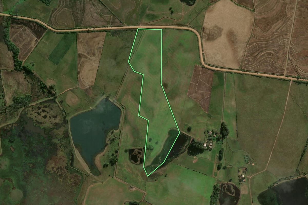 Imagem de satélite do imóvel rural em Formigueiro (RS), com o contorno declarado no CAR desenhado por cima.