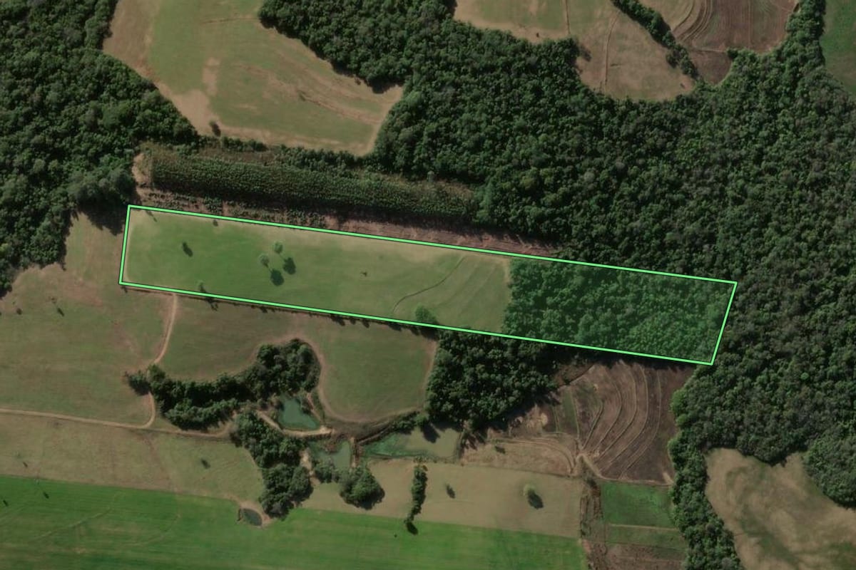Imagem de satélite do imóvel rural em Formigueiro (RS), com o contorno declarado no CAR desenhado por cima.