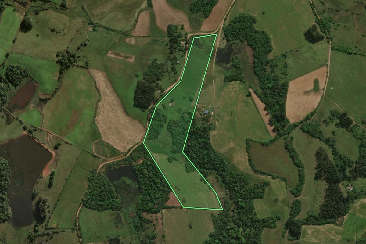 Imagem de satélite do imóvel rural em Formigueiro (RS), com o contorno declarado no CAR desenhado por cima.