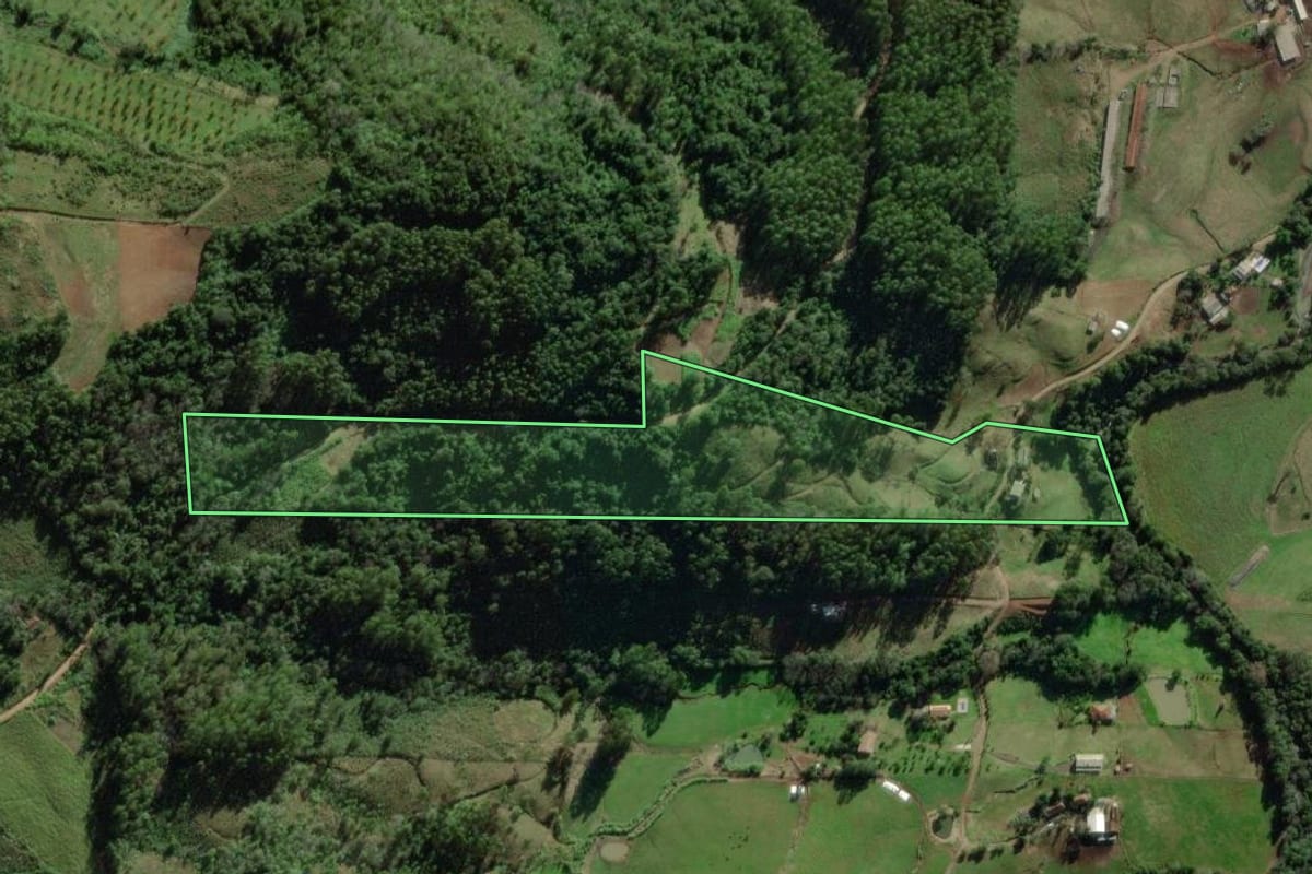 Imagem de satélite do imóvel rural em Forquetinha (RS), com o contorno declarado no CAR desenhado por cima.