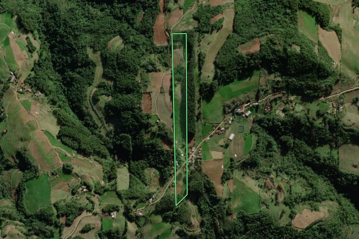Imagem de satélite do imóvel rural em Forquetinha (RS), com o contorno declarado no CAR desenhado por cima.