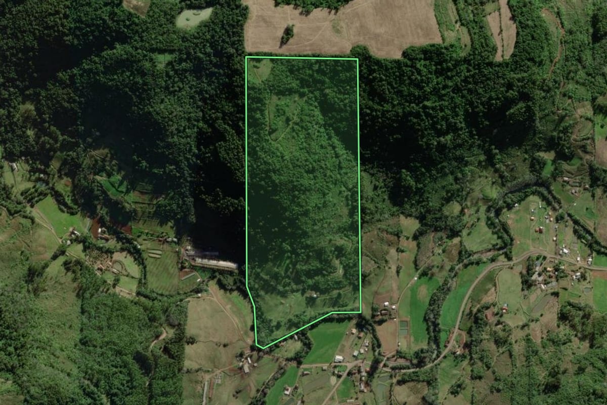 Imagem de satélite do imóvel rural em Forquetinha (RS), com o contorno declarado no CAR desenhado por cima.