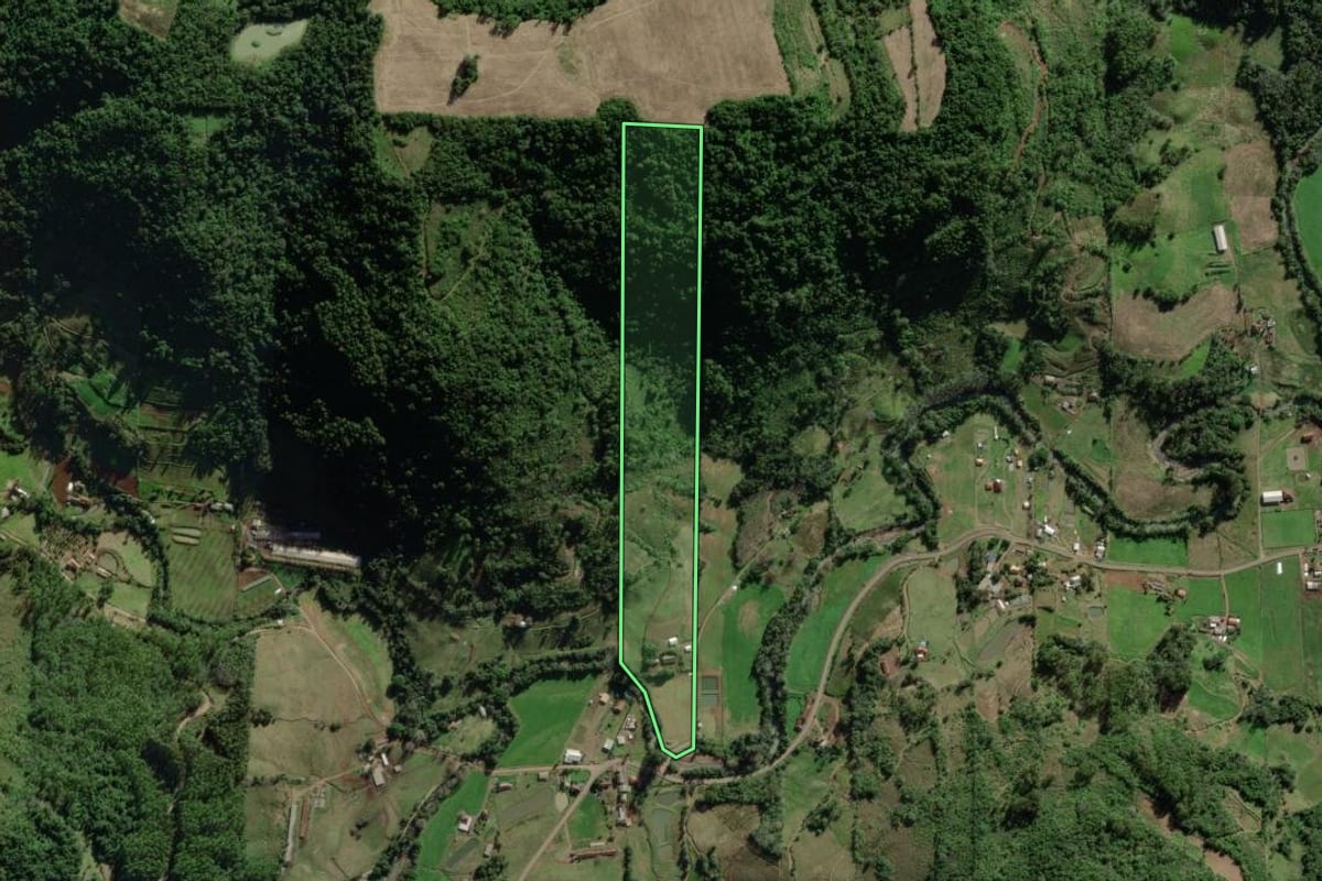 Imagem de satélite do imóvel rural em Forquetinha (RS), com o contorno declarado no CAR desenhado por cima.