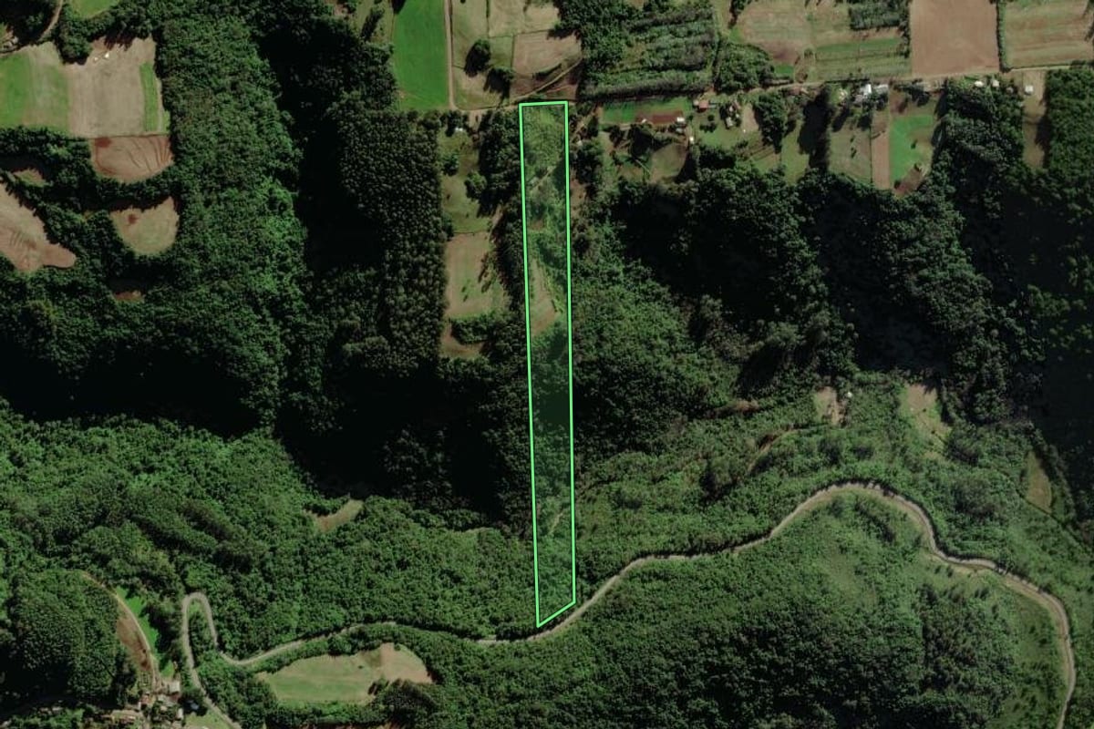 Imagem de satélite do imóvel rural em Forquetinha (RS), com o contorno declarado no CAR desenhado por cima.