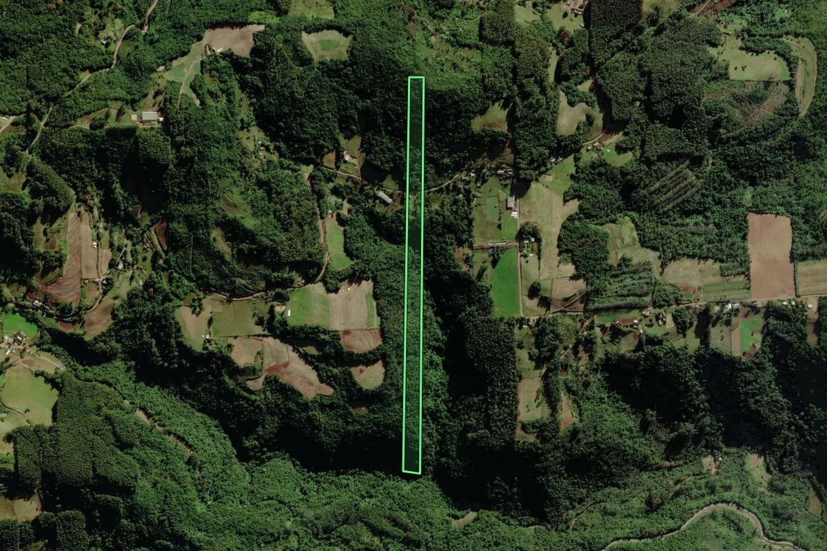 Imagem de satélite do imóvel rural em Forquetinha (RS), com o contorno declarado no CAR desenhado por cima.