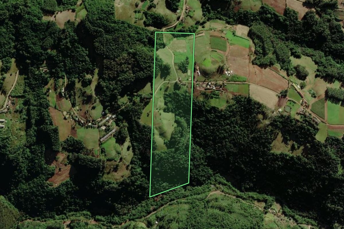 Imagem de satélite do imóvel rural em Forquetinha (RS), com o contorno declarado no CAR desenhado por cima.
