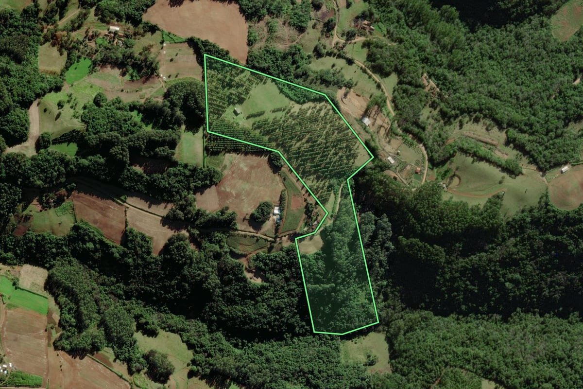 Imagem de satélite do imóvel rural em Forquetinha (RS), com o contorno declarado no CAR desenhado por cima.