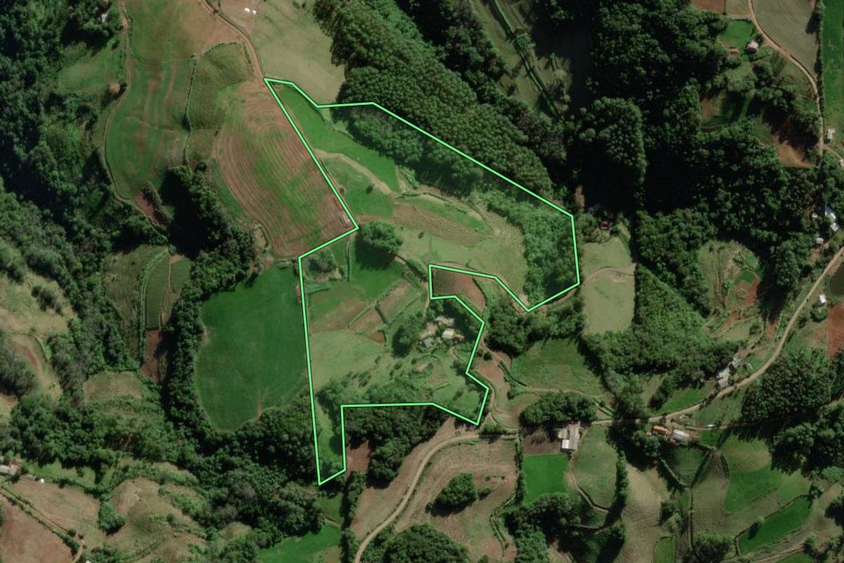 Imagem de satélite do imóvel rural em Forquetinha (RS), com o contorno declarado no CAR desenhado por cima.