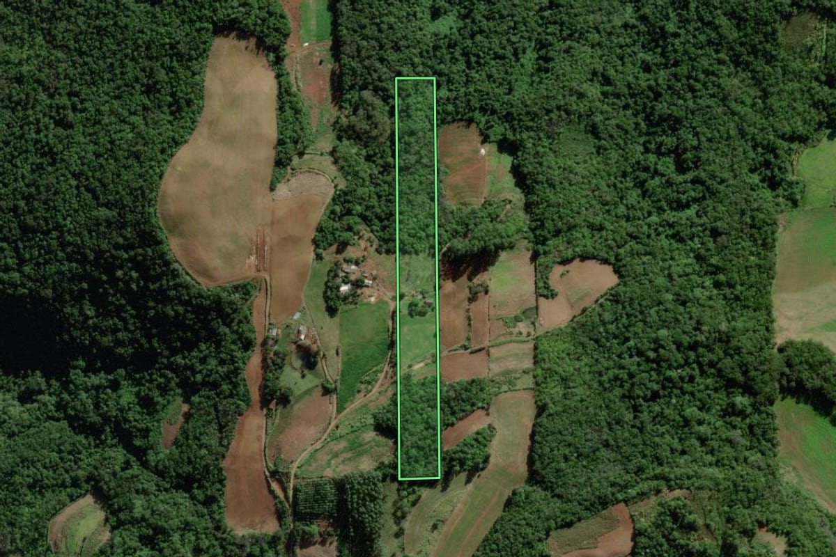 Imagem de satélite do imóvel rural em Forquetinha (RS), com o contorno declarado no CAR desenhado por cima.