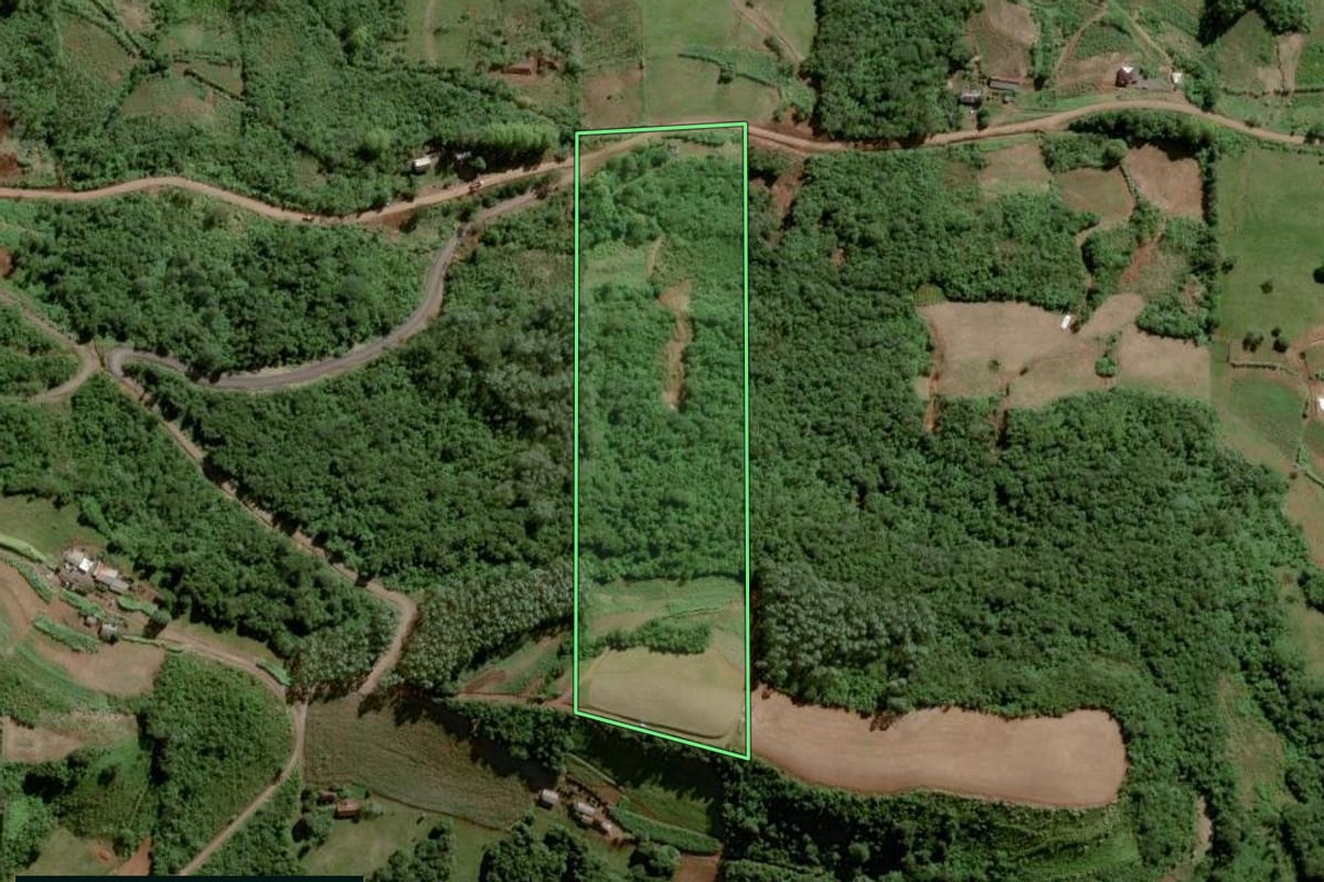 Imagem de satélite do imóvel rural em Forquetinha (RS), com o contorno declarado no CAR desenhado por cima.