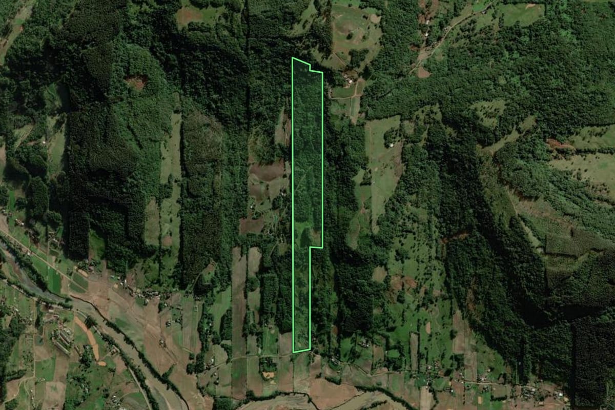 Imagem de satélite do imóvel rural em Forquetinha (RS), com o contorno declarado no CAR desenhado por cima.