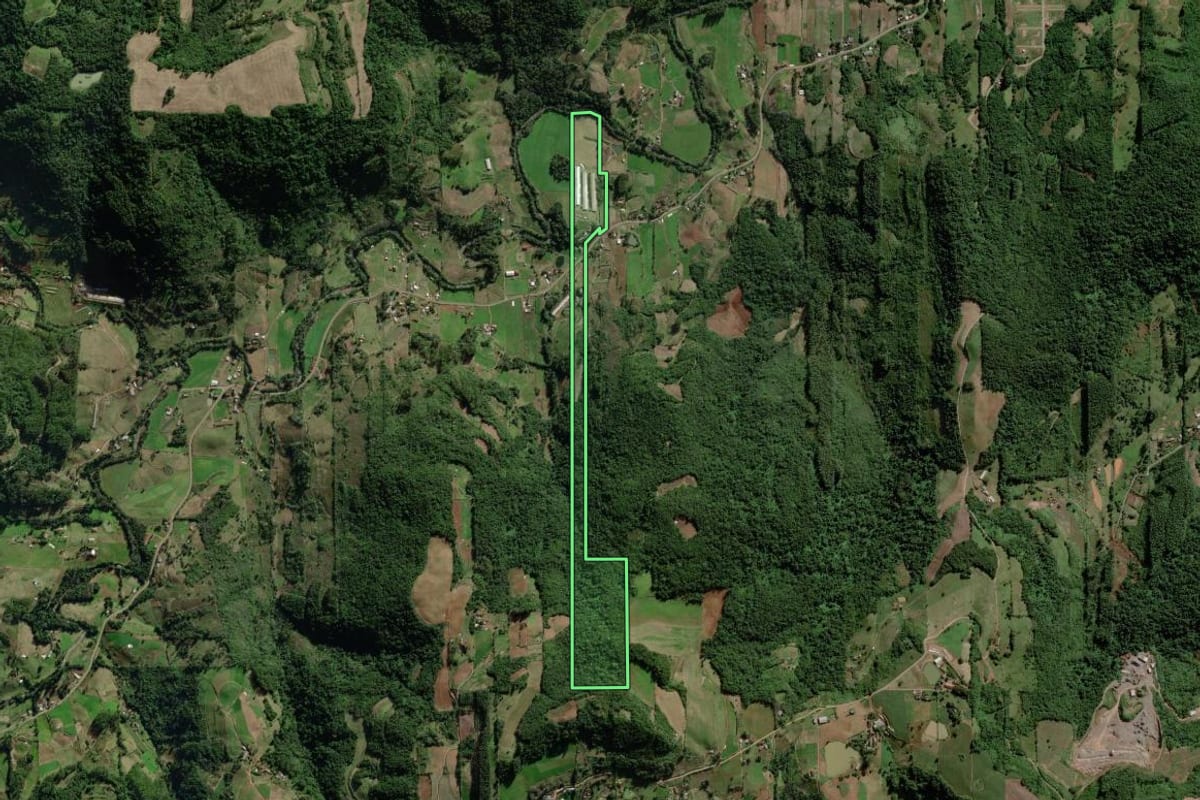 Imagem de satélite do imóvel rural em Forquetinha (RS), com o contorno declarado no CAR desenhado por cima.