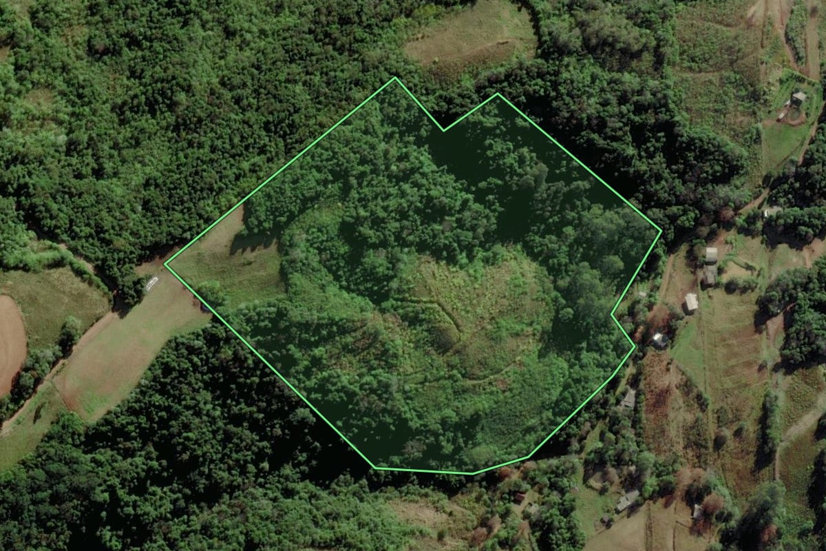 Imagem de satélite do imóvel rural em Forquetinha (RS), com o contorno declarado no CAR desenhado por cima.