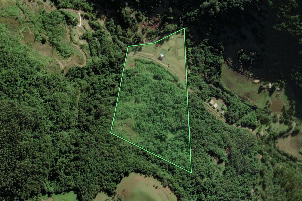 Imagem de satélite do imóvel rural em Forquetinha (RS), com o contorno declarado no CAR desenhado por cima.