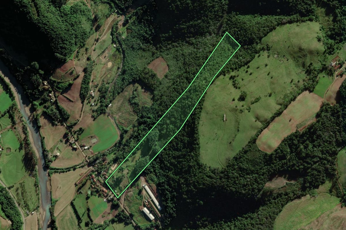 Imagem de satélite do imóvel rural em Forquetinha (RS), com o contorno declarado no CAR desenhado por cima.