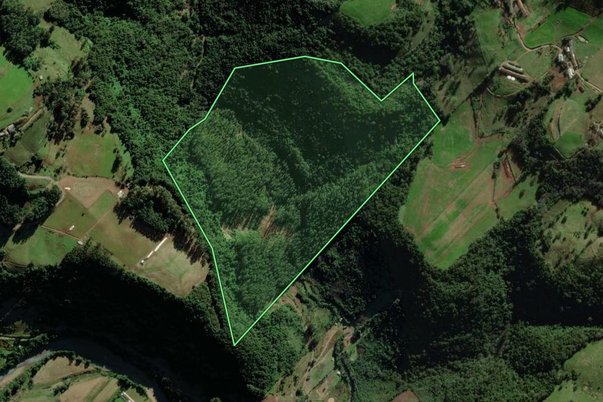 Imagem de satélite do imóvel rural em Forquetinha (RS), com o contorno declarado no CAR desenhado por cima.