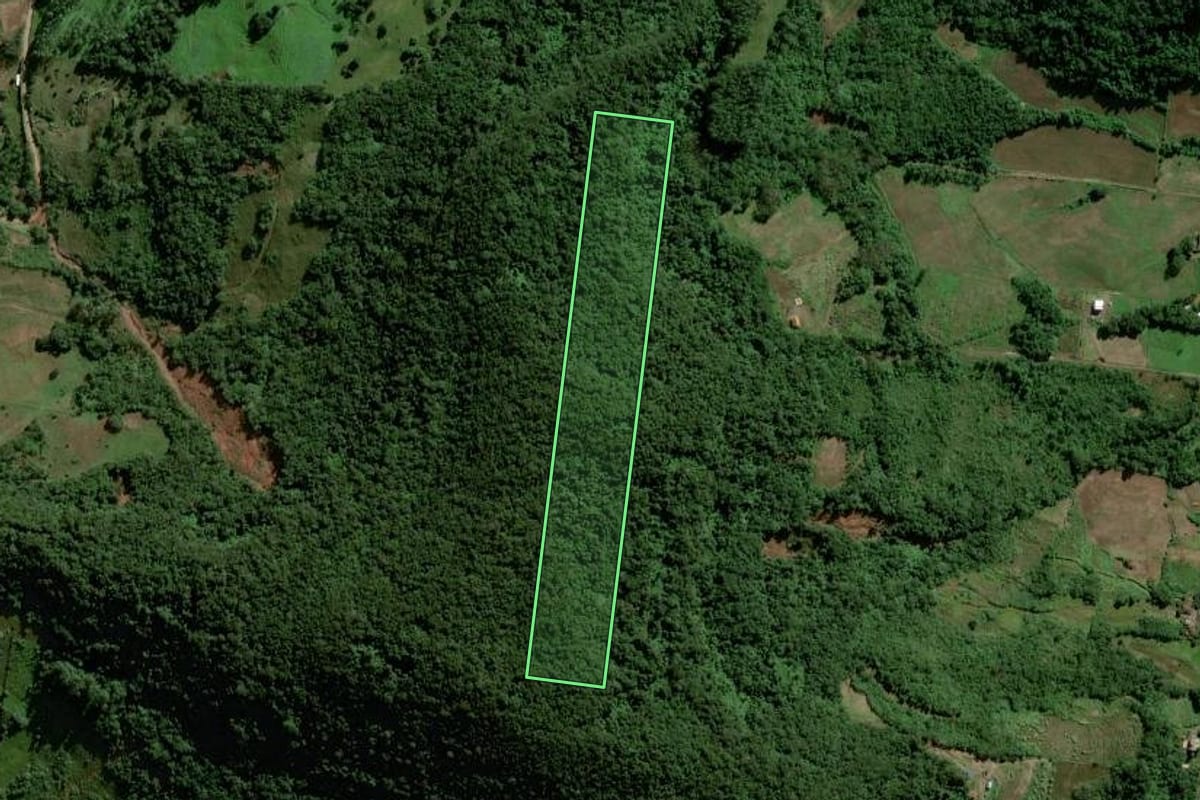 Imagem de satélite do imóvel rural em Forquetinha (RS), com o contorno declarado no CAR desenhado por cima.