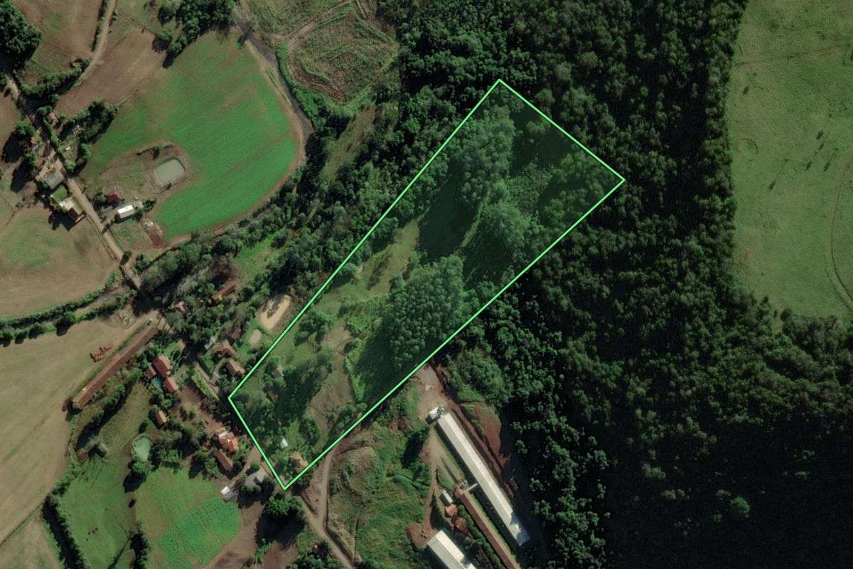 Imagem de satélite do imóvel rural em Forquetinha (RS), com o contorno declarado no CAR desenhado por cima.