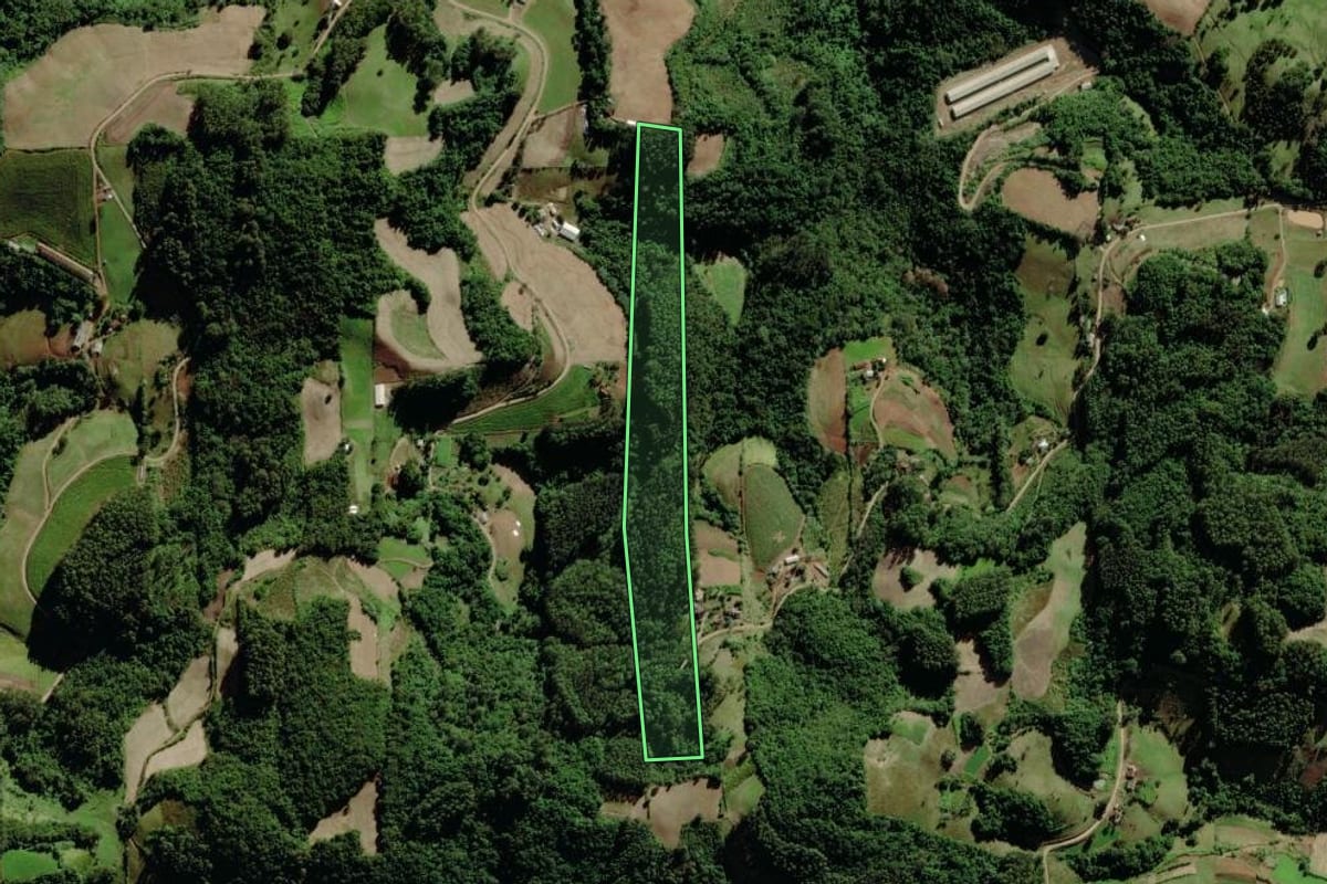 Imagem de satélite do imóvel rural em Forquetinha (RS), com o contorno declarado no CAR desenhado por cima.