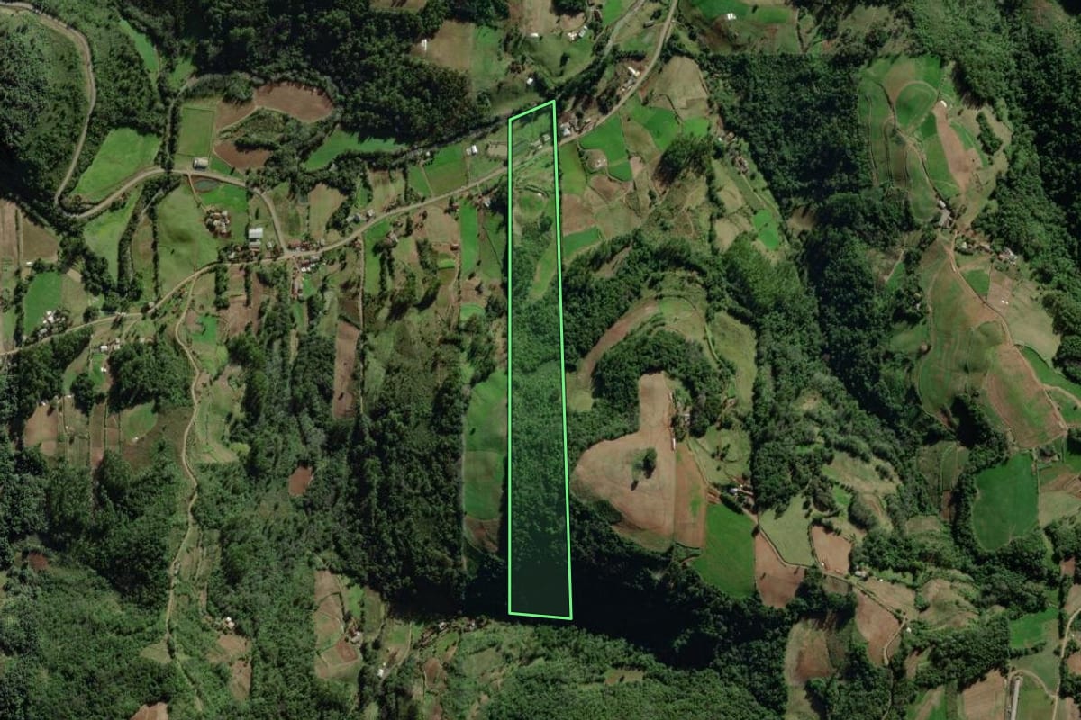 Imagem de satélite do imóvel rural em Forquetinha (RS), com o contorno declarado no CAR desenhado por cima.