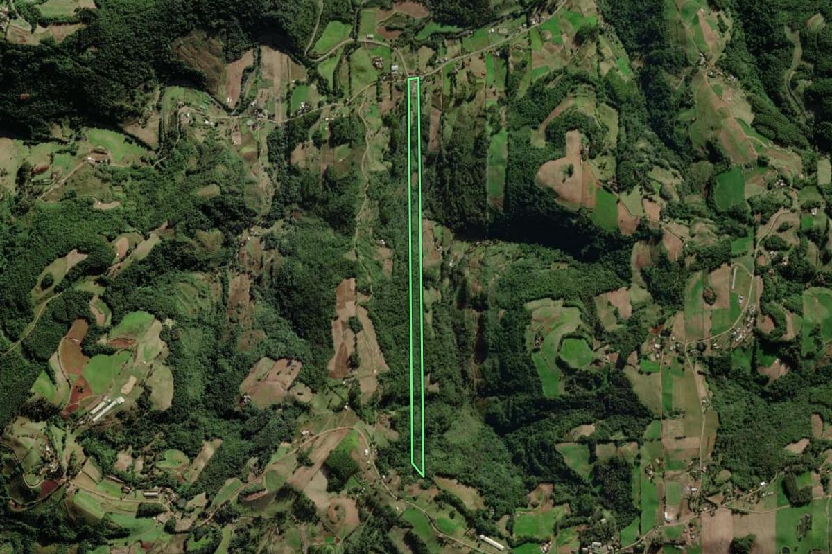Imagem de satélite do imóvel rural em Forquetinha (RS), com o contorno declarado no CAR desenhado por cima.