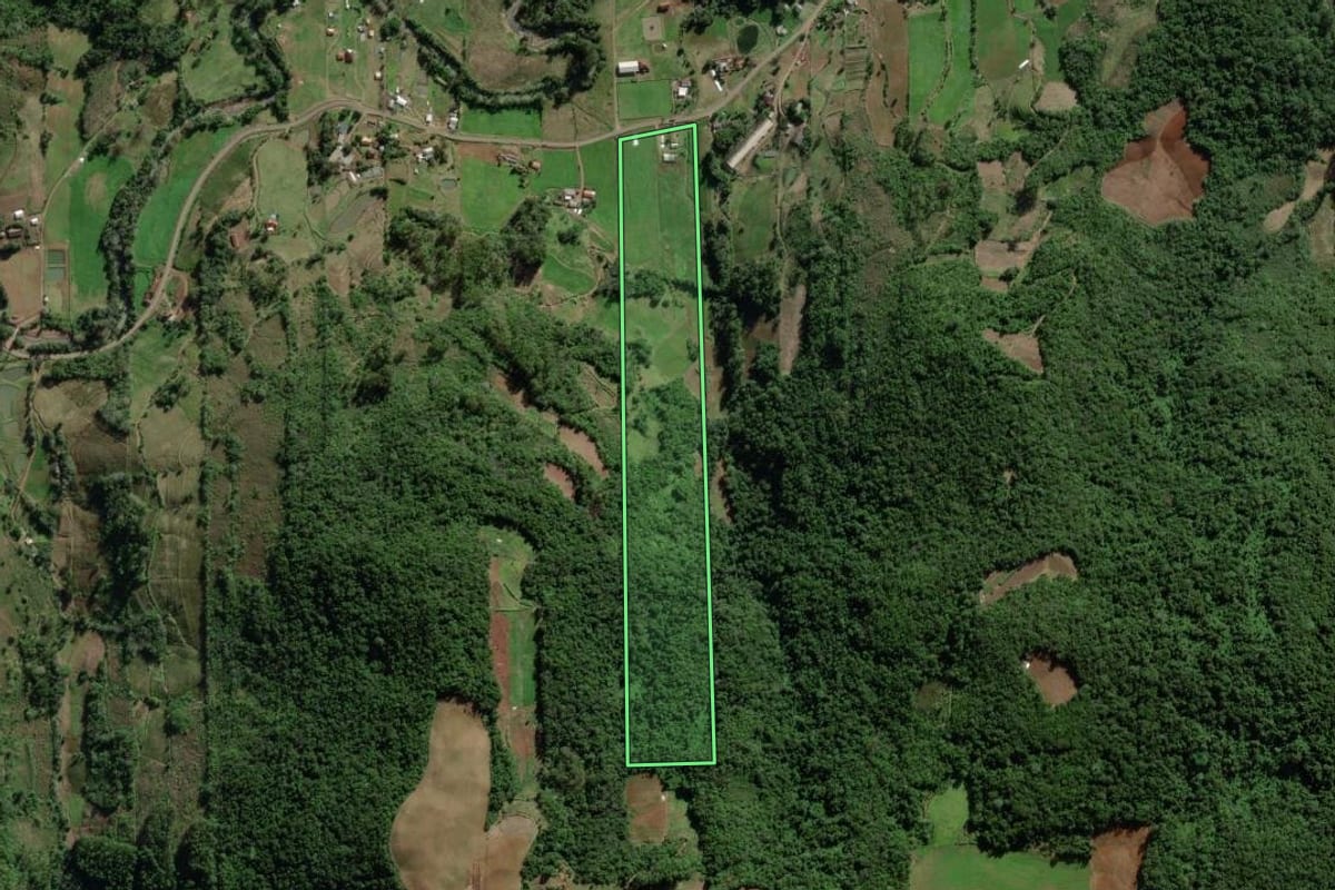 Imagem de satélite do imóvel rural em Forquetinha (RS), com o contorno declarado no CAR desenhado por cima.