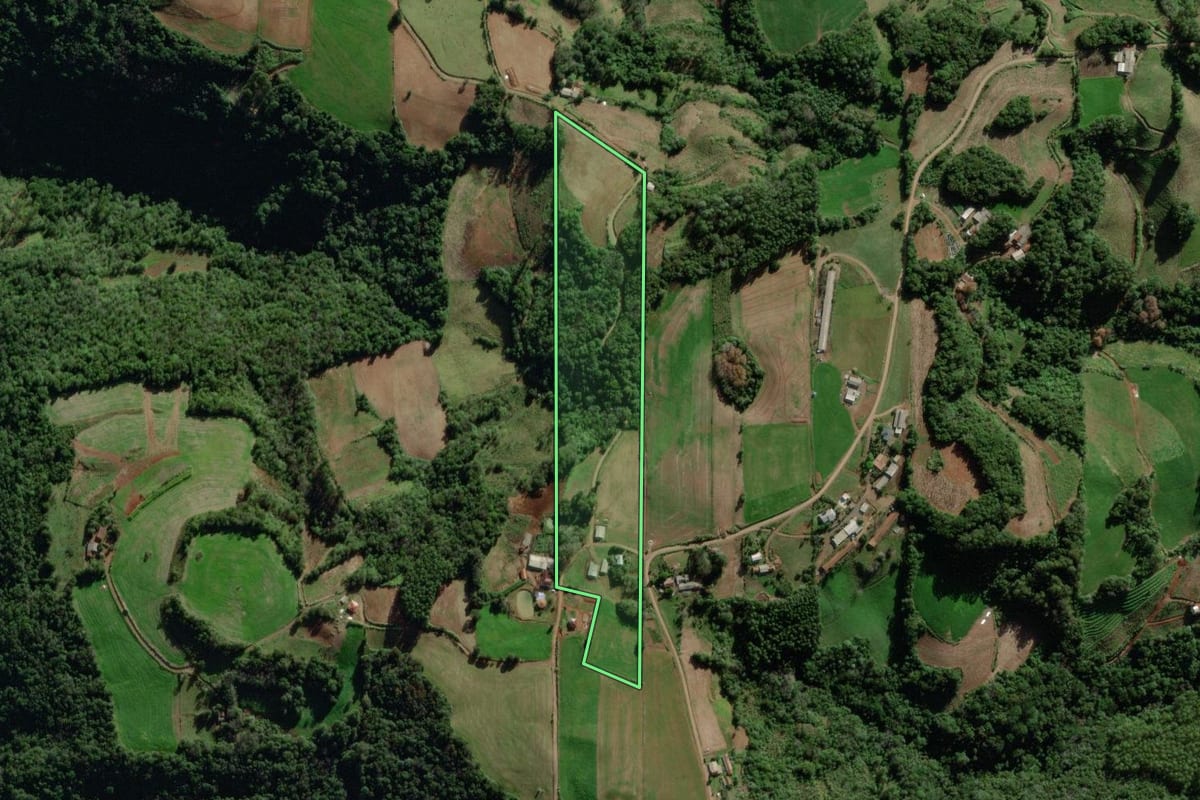 Imagem de satélite do imóvel rural em Forquetinha (RS), com o contorno declarado no CAR desenhado por cima.