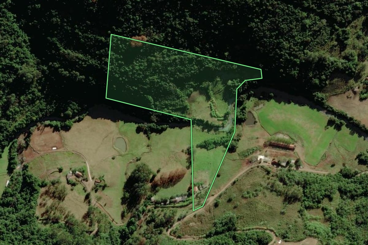 Imagem de satélite do imóvel rural em Forquetinha (RS), com o contorno declarado no CAR desenhado por cima.