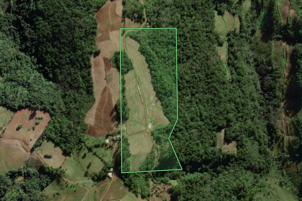 Imagem de satélite do imóvel rural em Forquetinha (RS), com o contorno declarado no CAR desenhado por cima.
